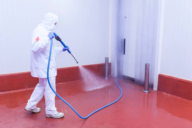 Best House Exterior Washing  in Egypt, PA